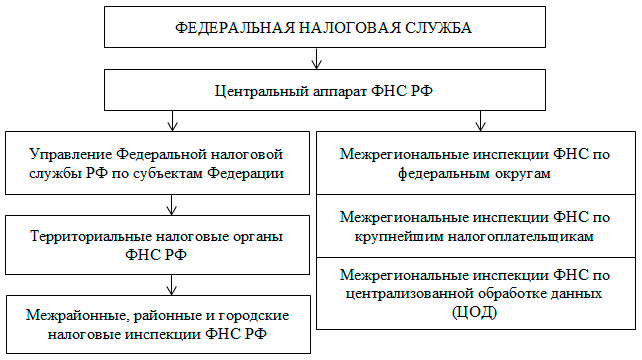 struktura nalogovuh organov