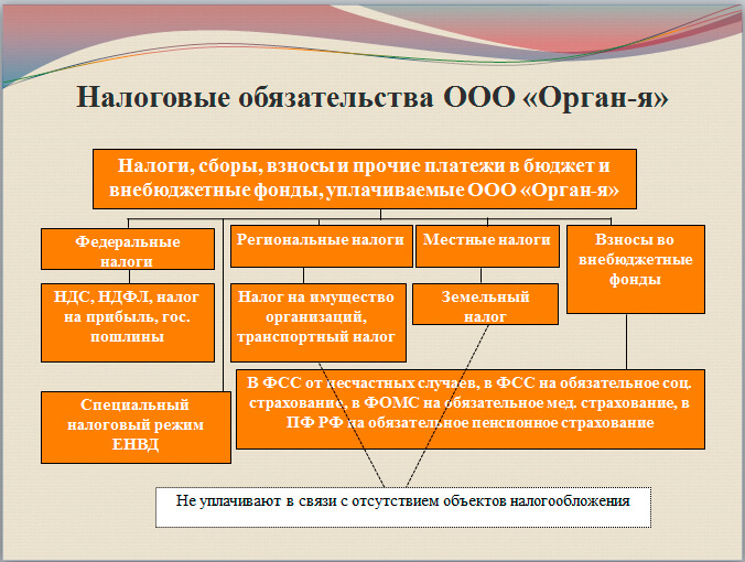 Четвертый лист презентации Налоговые обязательства организации